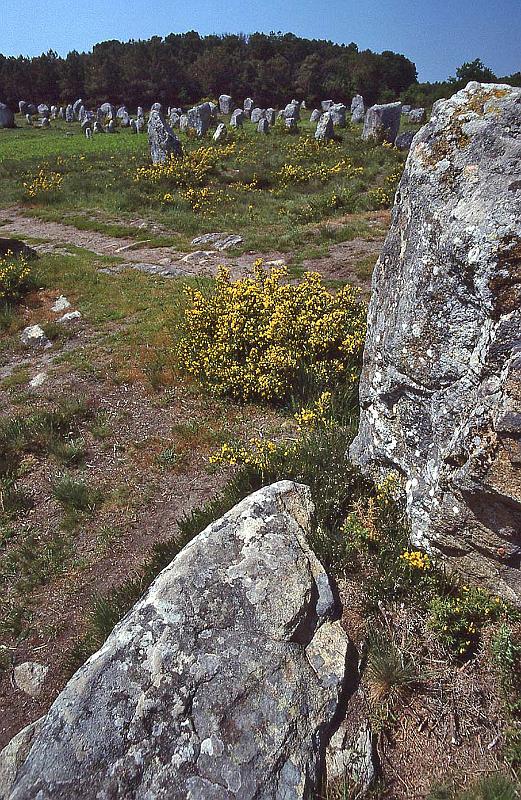 WT 2500 327-21 France 92.jpg